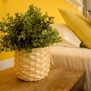 Intendente 1865 Bed and breakfast